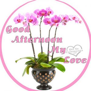 GIF Good Afternoon