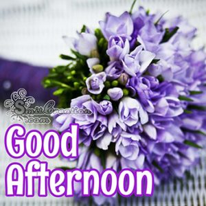 Good Afternoon Beautiful GIF