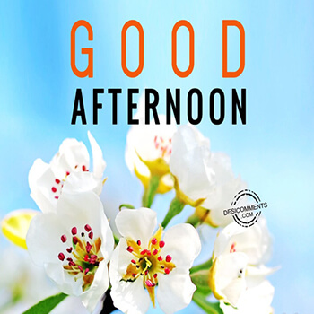Good Afternoon GIF Images