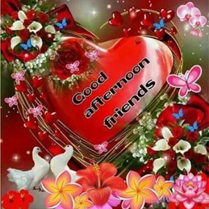 Good Afternoon GIF Videos