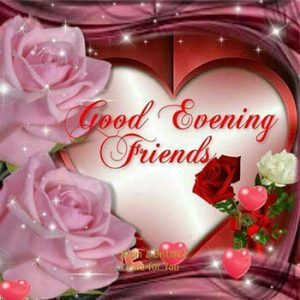 Good Afternoon GIFs Images