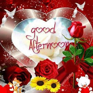 Good Afternoon Good Evening and Goodnight GIF