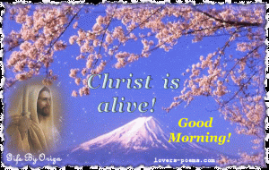 Good Morning Christmas GIFs