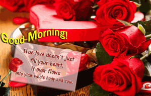 Good Morning GIF Animated