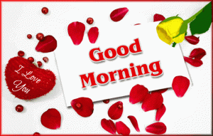Good Morning GIF Animation