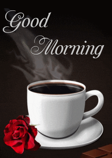 Good Morning Have A Great Day Gif Have A Great Day Gif