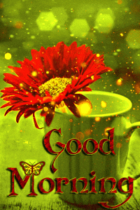 Good Morning Starshine the Earth Says Hello GIF