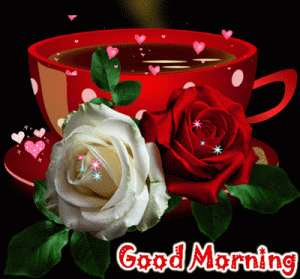 Good Morning GIF Images Only