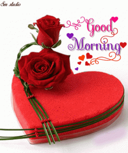 Good Morning Gif Love