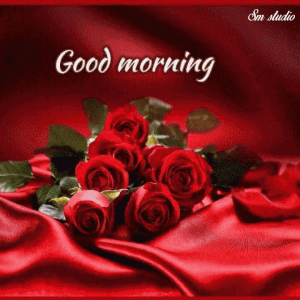 Good Morning Love GIF