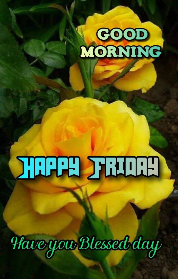 Good Morning Happy Friday Images