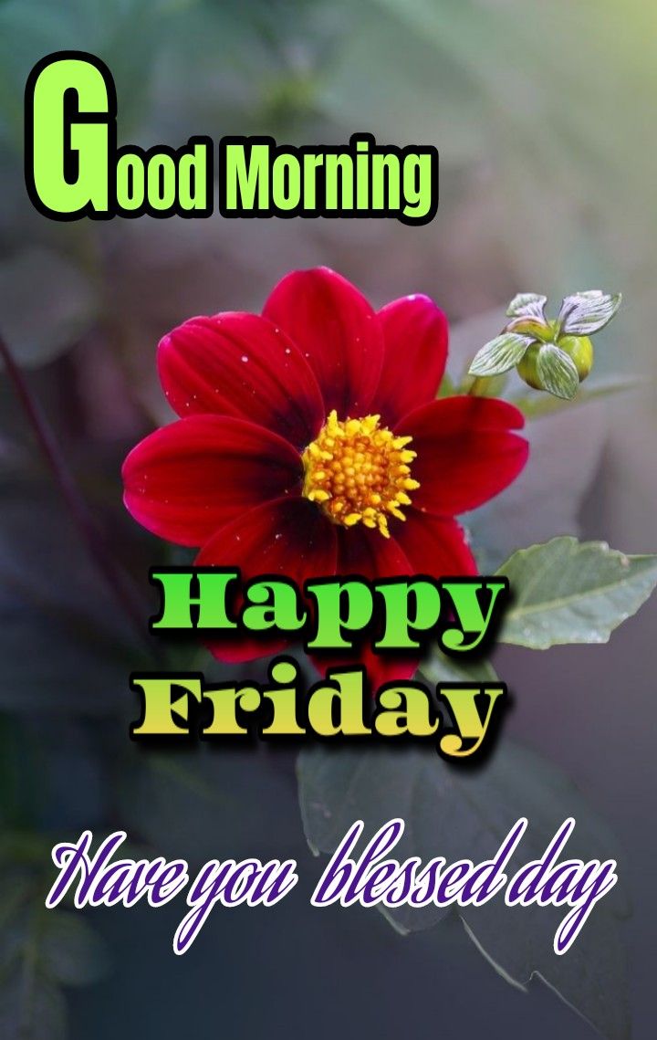 Good Morning Happy Friday Images