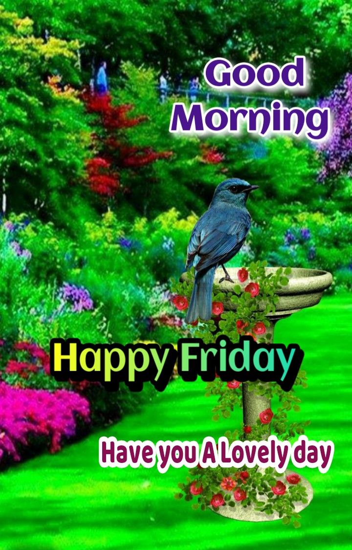 Good Morning Happy Friday Images