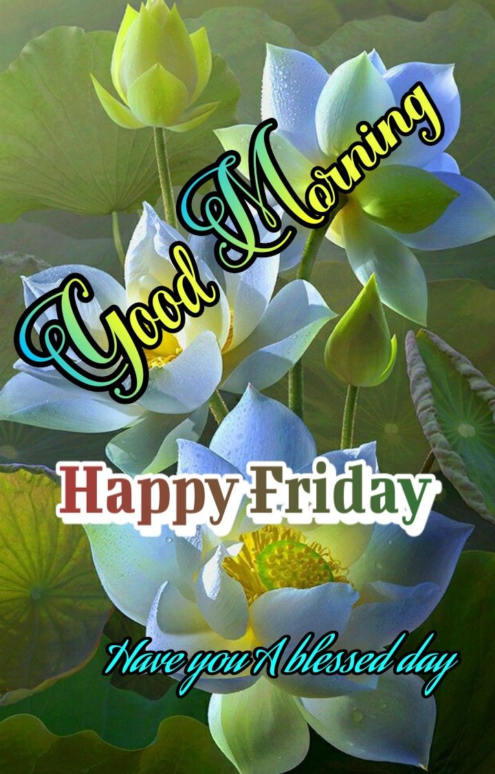 Good Morning Happy Friday Images