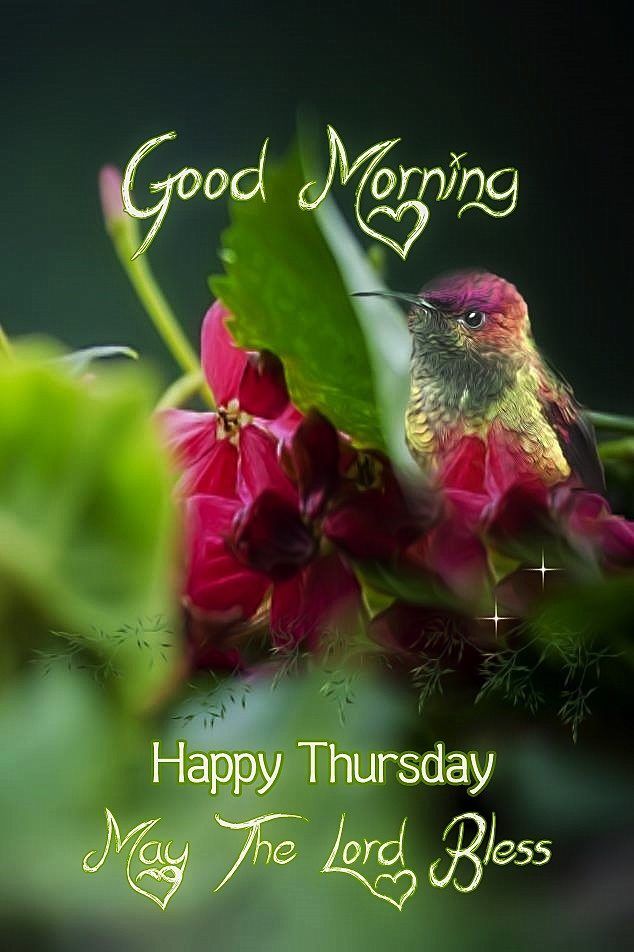 Good Morning Thursday Images