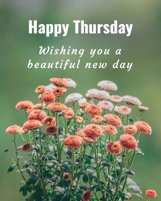 Good Morning Thursday Images