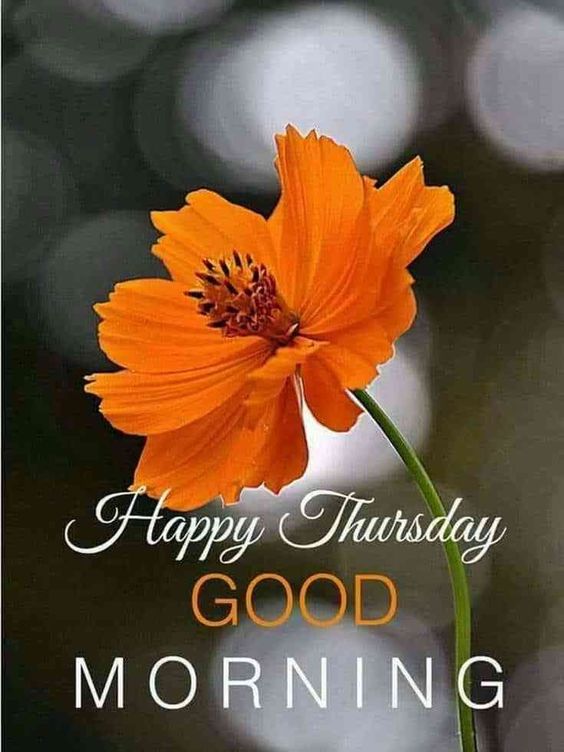 Good Morning Thursday Images