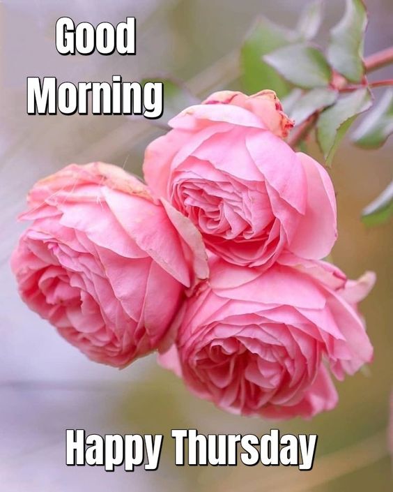 Good Morning Thursday Images