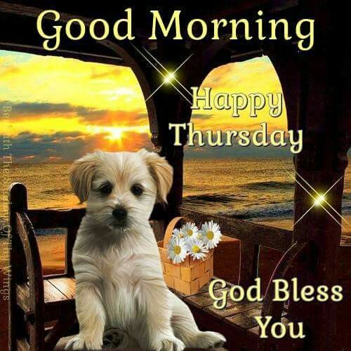 Good Morning Thursday Images