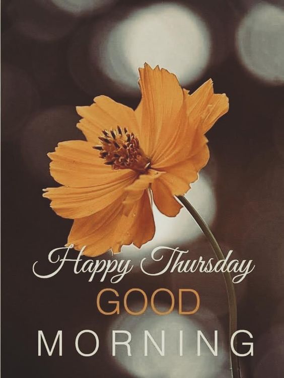 Good Morning Thursday Images