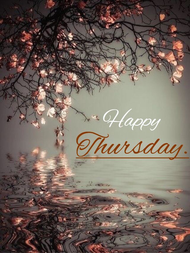 Good Morning Thursday Images