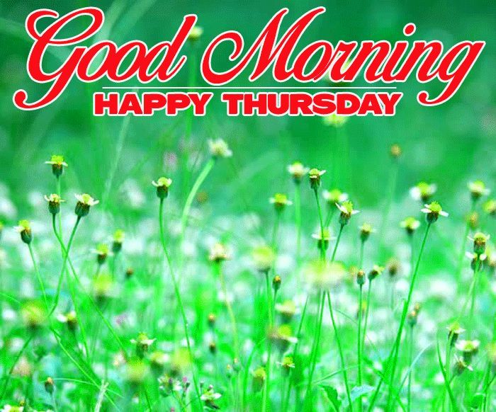 Good Morning Thursday Images