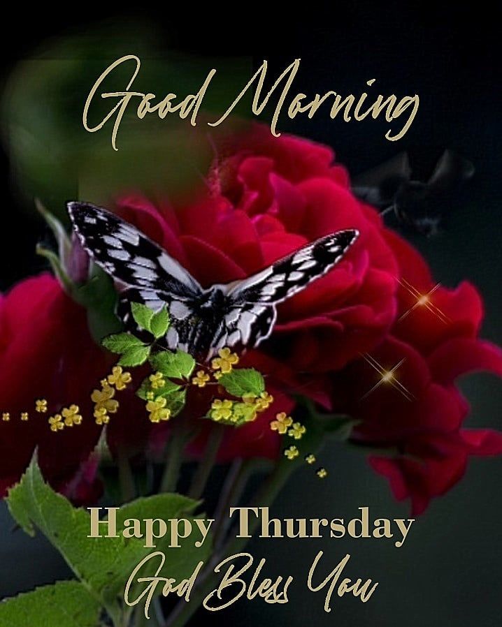 Good Morning Thursday Images