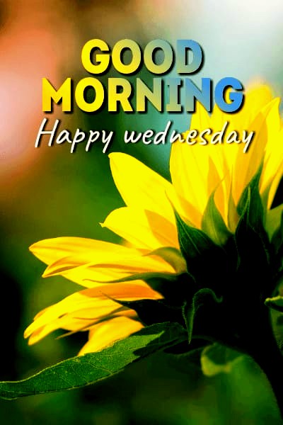 Good Morning Wednesday Images
