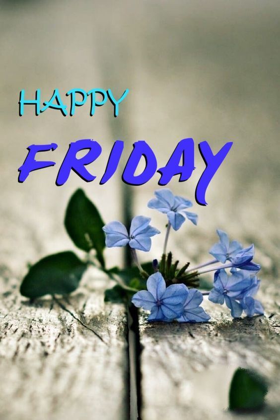 Happy Friday Images