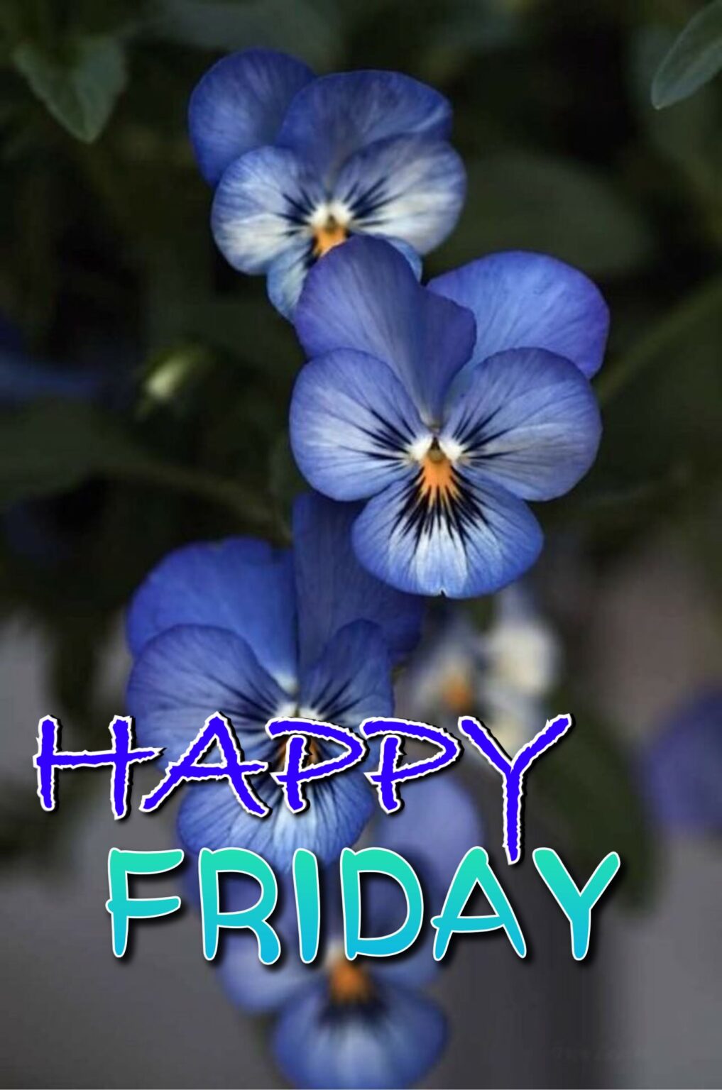 ᐅTop969+ Happy Friday Images, Pictures, Photos, GIFs