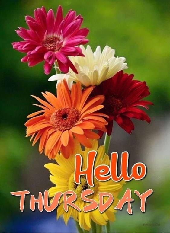 Happy Thursday Images