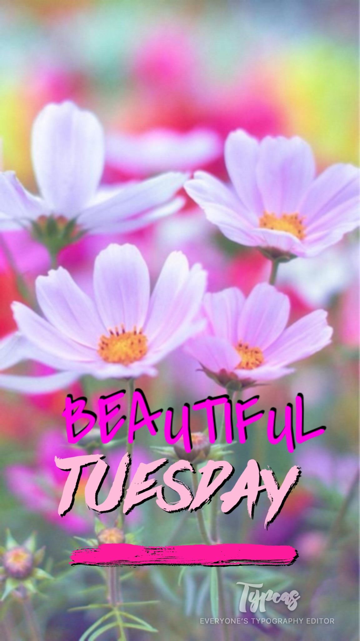 Happy Tuesday Images | Free Photos, PNG Stickers, Wallpapers & Backgrounds  - rawpixel