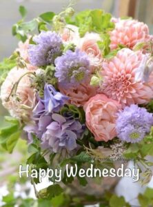 ᐅTop143+ Happy Wednesday Images, Pictures, Photos