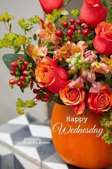 ᐅTop143+ Happy Wednesday Images, Pictures, Photos