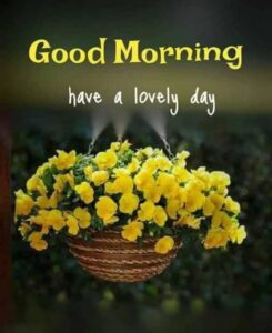 Beautiful good morning images for friends