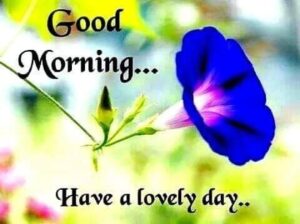 Friday images good morning