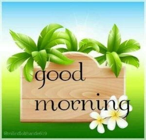 Giphy images good morning