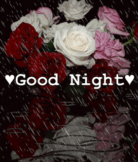 Good Night Dear Friend gif
