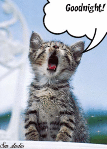 Good Night Friday GIF