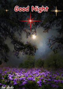 Good Night GIF Couple