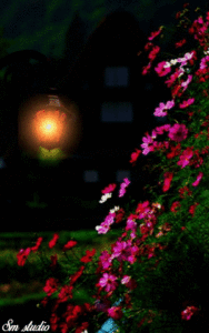 Good Night GIF cute images