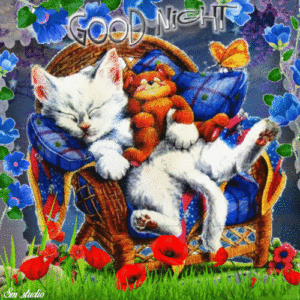 Good Night Grandson GIF