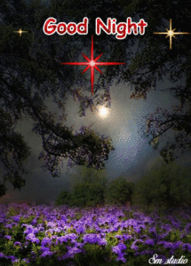 Good Night Jesus GIF