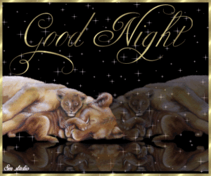 Good Night Prayers GIF