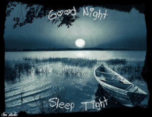 Good Night SIS gif