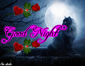 Good Night Sister GIF images