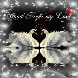 Good Night Stickers GIF