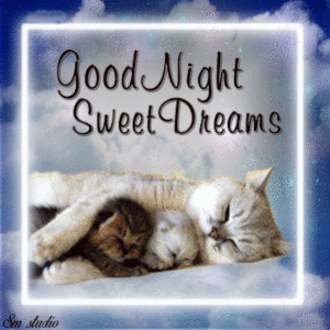 Good Night and Sweet Dreams gif Download