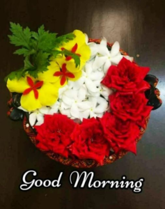Good morning 4th of July images