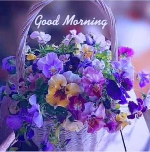 Good morning HD images 2021